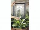 Chalkboard Woody Securit glas sort ramme 40x30cm