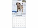 Vægkalender Hundhvalpe 16x32cm 24 0664 10