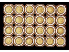 Muffinform p&aring; papplade NTS.2 50x36mm 24st/pl 50pl/pak
