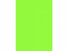 Skiltekarton grøn neon         50x70cm 100ark/pak 260g       