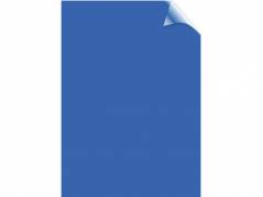 Plastforside Fellowes A4 200mic transp. bl&aring; PVC 100stk/pak