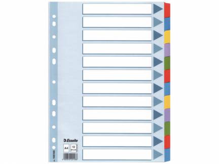 Faneblad Esselte Mylar A4 12-delt flerfarvet