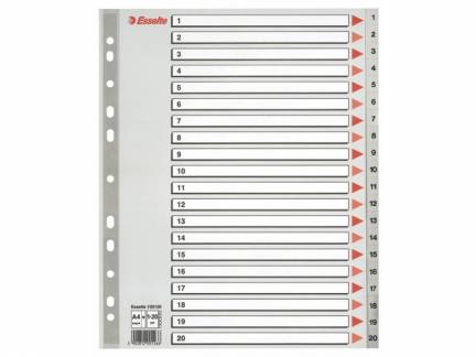 Register Esselte A4 1-20 Maxi 100126