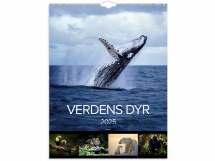 Vægkalender Verdens dyr 2025