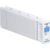 Epson Ink C13T800200 C T8002 