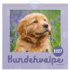 Mayland 27066410 hundehvalpe v&aelig;gkalender 16x16,4cm 