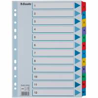 Esselte Mylar A4 register 1-12tabs