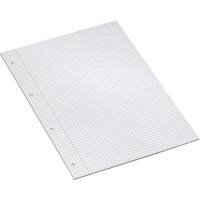 Bantex arbejdsblade A4 kvadreret