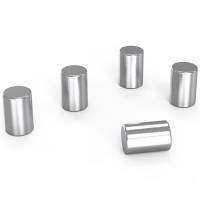 Lintex magneter krom 5stk