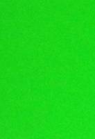 Skiltekarton 50x70cm 100g neongr&oslash;n