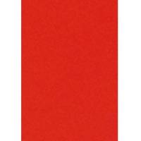 Skiltekarton 100x70cm 100g neonr&oslash;d