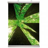 Poster-Line plakatlister i st&oslash;rrelsen 50 cm i farven alu