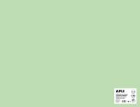 Apli karton 50x65cm 170g s&oslash;gr&oslash;n 25ark