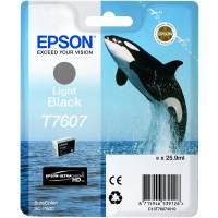 Epson T7607 C13T76074010 Gr&aring; Bl&aelig;kpatron, 10.000 sider