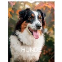 Mayland 2026 26066320 hunde v&aelig;gkalender 29,5x39cm