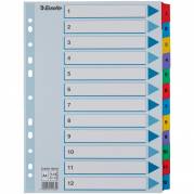 Esselte Mylar A4 register 1-12tabs 