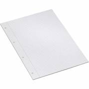 Bantex arbejdsblade A4 kvadreret 