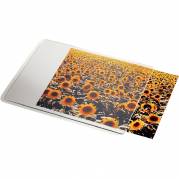 Esselte musem&aring;tte til foto 