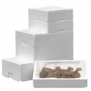 Easy FoodBox termokasse 10 ltr hvid 