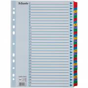 Esselte Mylar A4 register 1-31 farvede faner 