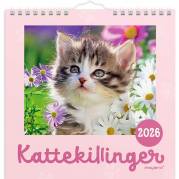 Mayland 2026 26066400 kattekillinger vægkalender 16x16,4cm 