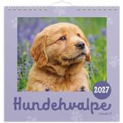 Mayland 27066410 hundehvalpe v&aelig;gkalender 16x16,4cm 