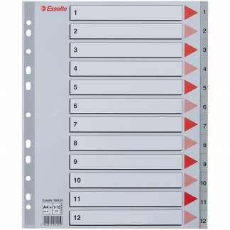 Esselte MAXI register A4+ med 12 tabs i farven grå 