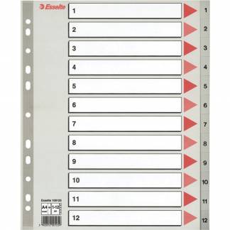 Register Esselte A4+ 1-12 Grå Plast