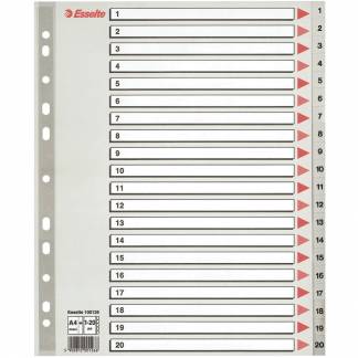 Register Esselte A4+ 1-20 Grå Plast