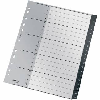 Leitz Recycle register 1-20 A4 Maxi 