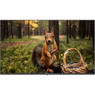 ADisplay Signage PRO infosk&aelig;rm 43"