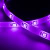 Smart LED strip RGB (5m) Hombli hvid og farve RGB/CCT