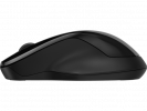 HP 250 Dual Wireless Mouse (Consumer)