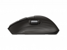 HP Ultra-Fast-Scroll Wireless Mouse 785M, Black