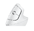 M240 Silent Bluetooth Mouse Off White