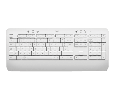 Signature K650, Offwhite (US)