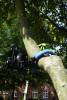 Rollei Monkey Pod Black