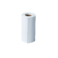 BROTHER Continuos White 57 mm to R 48PK