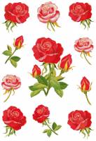 Herma stickers Decor roser (3)
