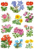 Herma stickers Decor blomster (3)