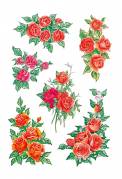 Herma stickers Decor roser  (3)