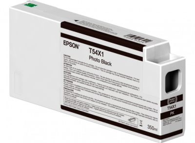 EPSON Singlepack Photo Black T54X100