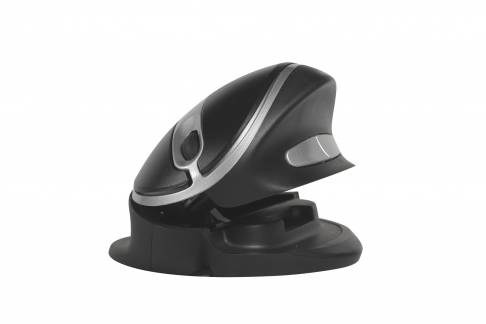 Oyster wireless mouse