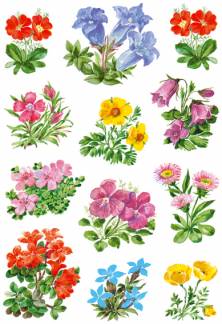 Herma stickers Decor blomster (3)