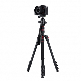 ROLLEI Compact Traveler No. 2