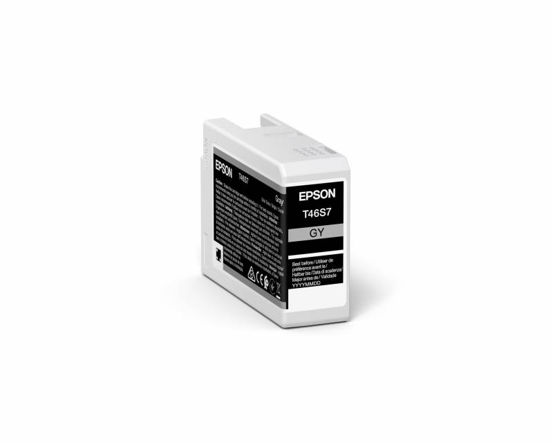 Epson T46S7 Gr&aring; Bl&aelig;k C13T46S700