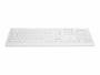 CHEAKC8100FFU1WNOR