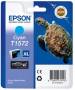 EPST15724010
