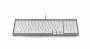 ERG41031_1