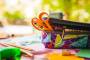 FIS1005166_2